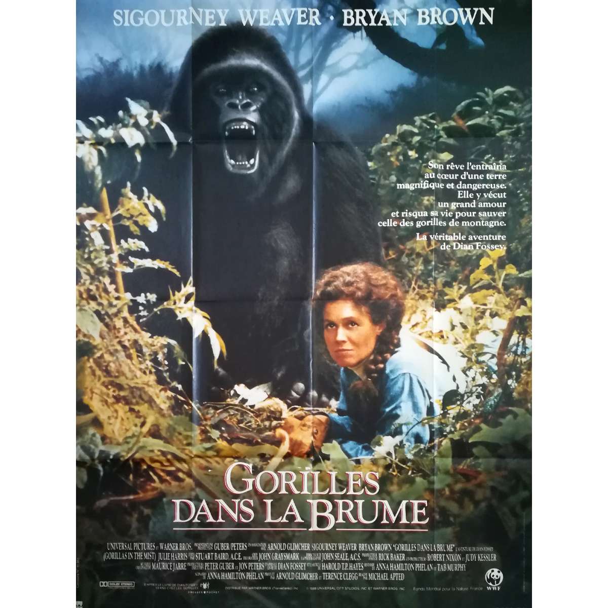 GORILLAS IN THE MIST Movie Poster 47x63 in.