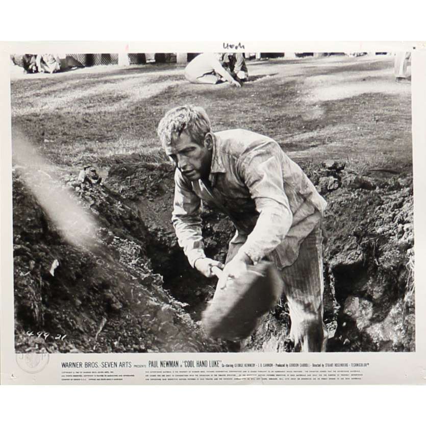 COOL HAND LUKE Original Lobby Card N20 - 8x10 in. - 1967 - Stuart Rosenberg, Paul Newman