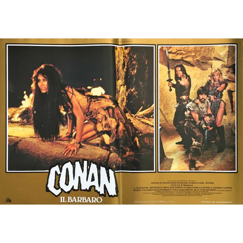 CONAN LE BARBARE Affiche de film N05 - 46x64 cm. - 1982 - Arnold Schwarzenegger, John Milius