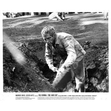 LUKE LA MAIN FROIDE Photo de presse N21 - 20x25 cm. - 1967 - Paul Newman, Stuart Rosenberg