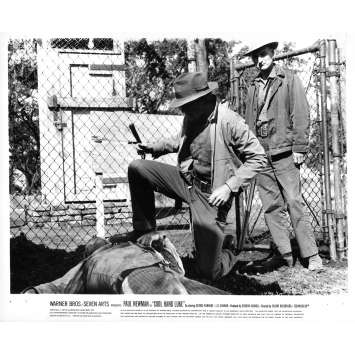 LUKE LA MAIN FROIDE Photo de presse N20 - 20x25 cm. - 1967 - Paul Newman, Stuart Rosenberg