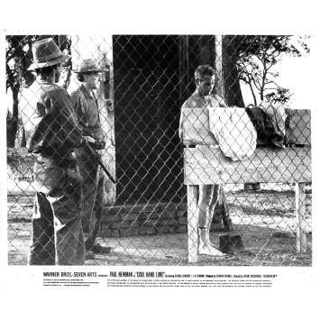 LUKE LA MAIN FROIDE Photo de presse N18 - 20x25 cm. - 1967 - Paul Newman, Stuart Rosenberg