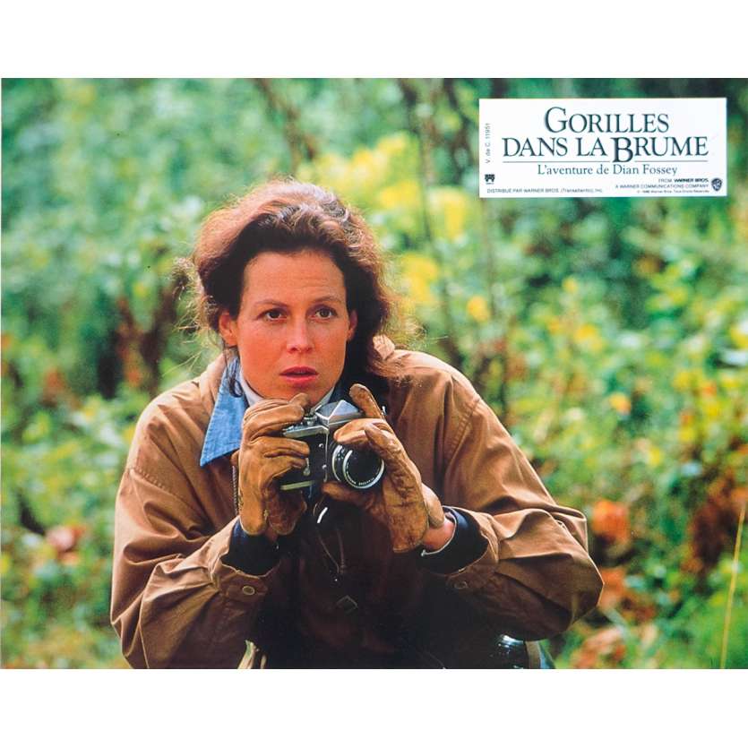 GORILLES DANS LA BRUME Photo de film N02 - 21x30 cm. - 1988 - Sigourney Weaver, Michael Apted