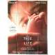 THE TREE OF LIFE Original Movie Poster Style B - 47x63 in. - 2011 - Terrence Malick, Brad Pitt