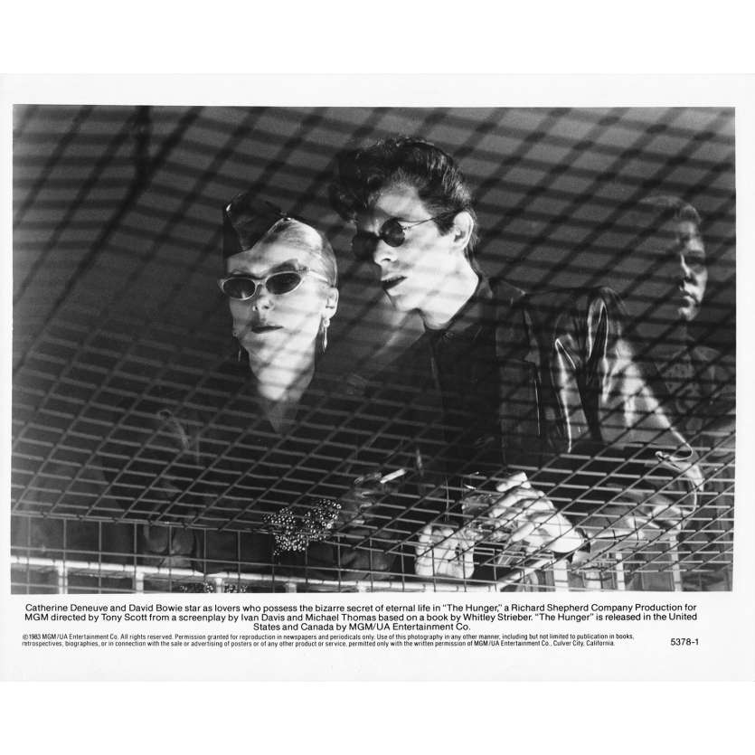 THE HUNGER Original Movie Still 5378-1 - 8x10 in. - 1983 - Tony Scott, David Bowie