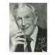 VINCENT PRICE signed 8x10 REPRO still '80s wonderful smiling portrait late in his career!