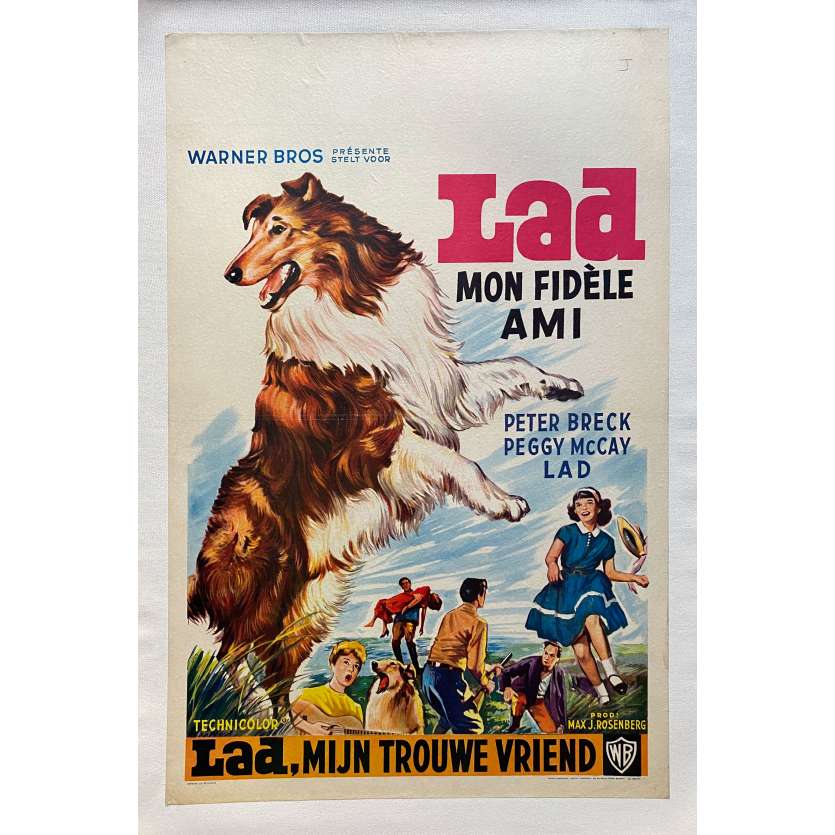 LAD: A DOG Linenbacked Movie Poster- 14x21 in. - 1962 - Aram Avakian, Peter Breck