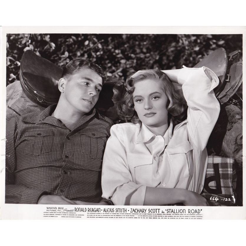 STALLION ROAD Movie Still 664-122 - 8x10 in. - 1947 - James V. Kern, Ronald Reagan