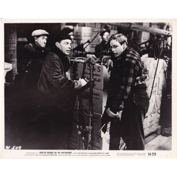 SUR LES QUAIS Photo de presse W509 - 20x25 cm. - 1954 - Marlon Brando, Elia Kazan