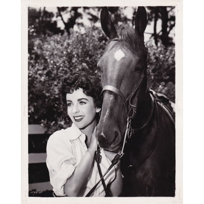 LA FILLE QUI AVAIT TOUT Photo de presse 1598-25 - 20x25 cm. - 1953 - Elizabeth Taylor, Richard Thorpe