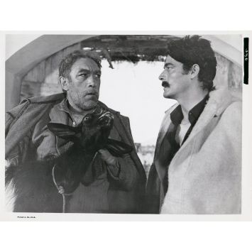 ZORBA LE GREC Photo de presse 630 - 20x25 cm. - 1964 - Anthony Quinn, Mihalis Kakogiannis