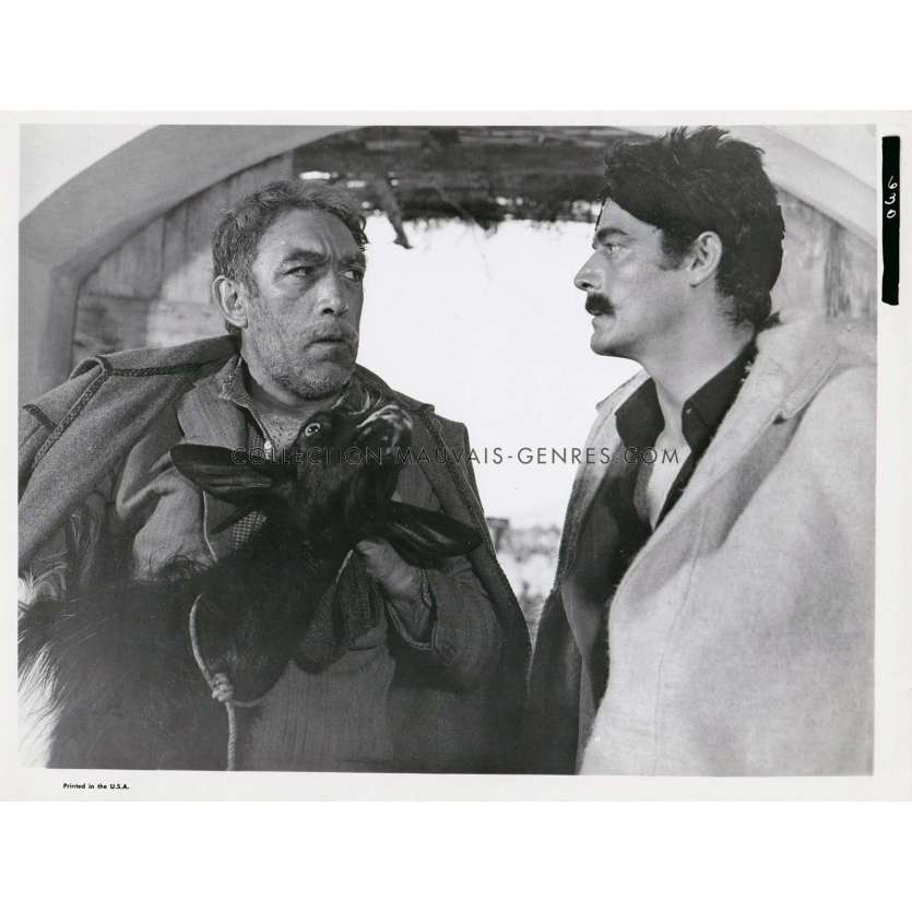 ZORBA LE GREC Photo de presse 630 - 20x25 cm. - 1964 - Anthony Quinn, Mihalis Kakogiannis