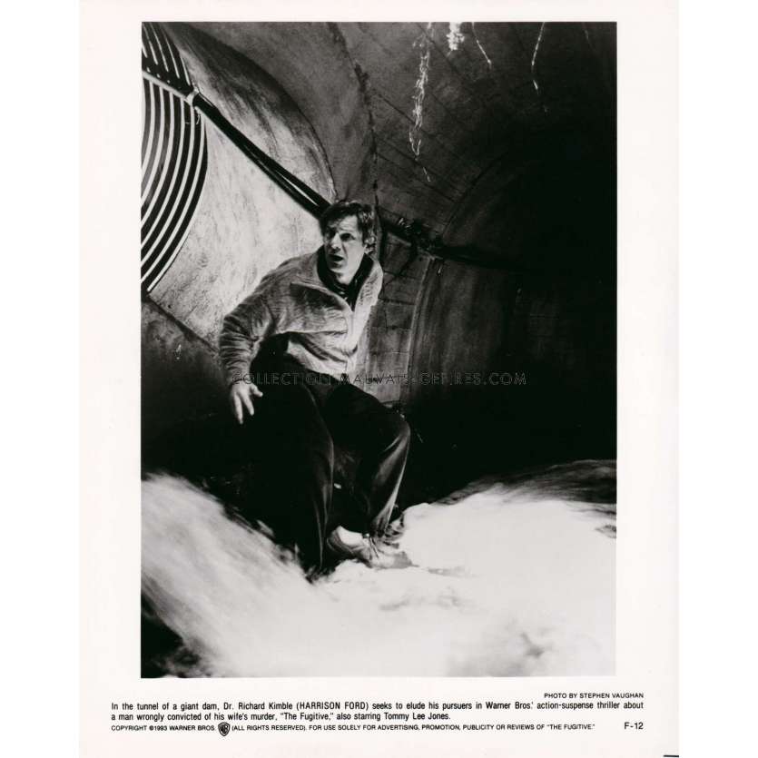 THE FUGITIVE Movie Still F-12 - 8x10 in. - 1993 - Andrew Davis, Harrison Ford - erotic