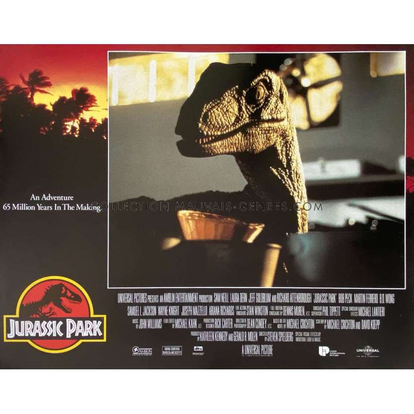 JURASSIC PARK Lobby Card N7 - 11x14 in. - 1993 - Steven Spielberg, Sam Neil