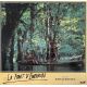 LA FORET D'EMERAUDE Photo de film N01 - 28x28 cm. - 1985 - Powers Boothe, John Boorman