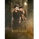 THE TWILIGHT SAGA : NEW MOON French Movie Poster Adv. - 47x63 in. - 2009 - Chris Weitz, Kristen Stewart