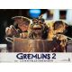 GREMLINS 2 Photo de film N01 - 30x40 cm. - 1990 - Zach Galligan, Joe Dante