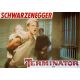 TERMINATOR Photo de film N09 - 21x30 cm. - 1983 - Arnold Schwarzenegger, James Cameron