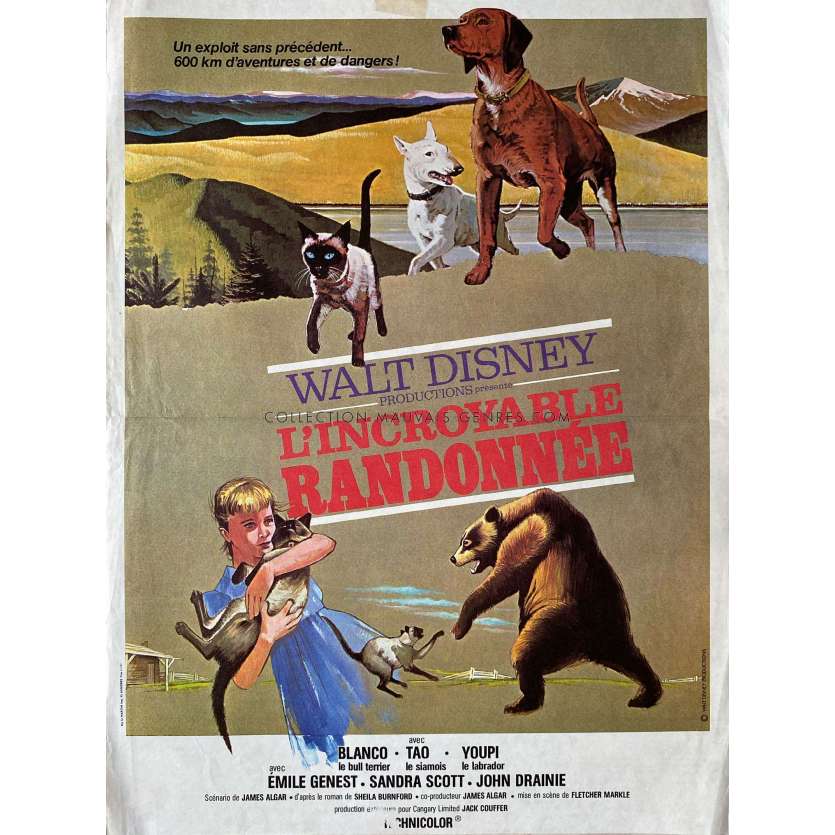 L'INCROYABLE RANDONNEE Affiche de cinéma- 40x54 cm. - 1963 - Emile Genest, Walt Disney